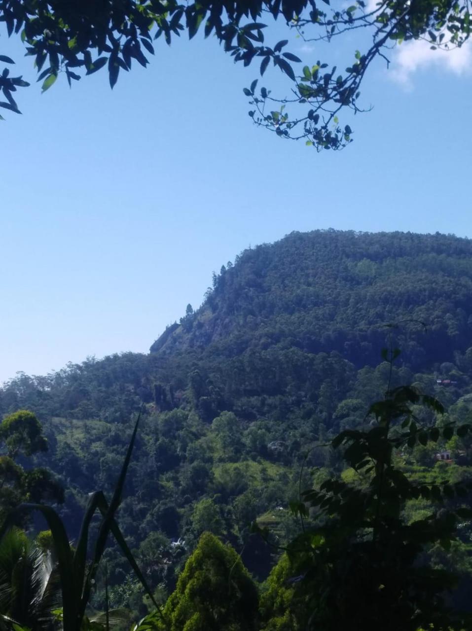 Himansa Homestay Ела Екстериор снимка