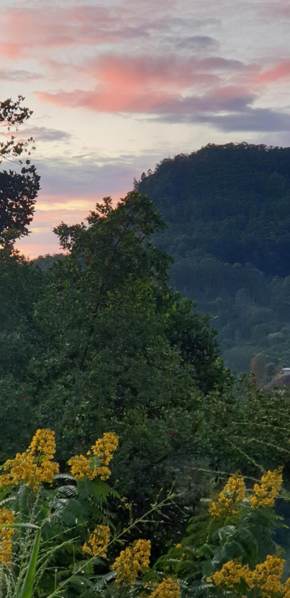 Himansa Homestay Ела Екстериор снимка